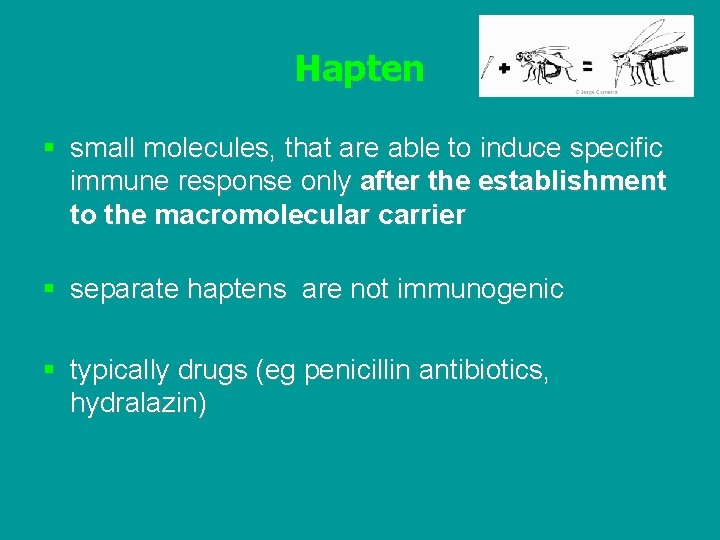 Hapten § small molecules, that are able to induce specific immune response only after