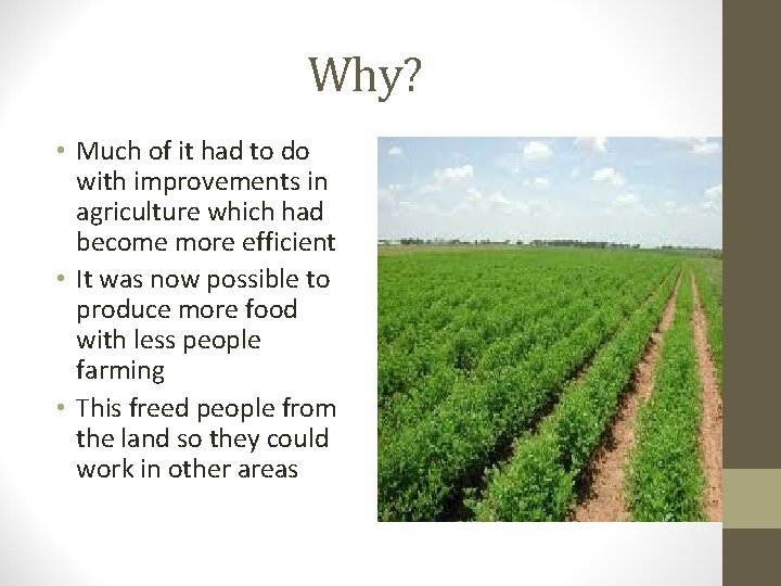 Why? • Much of it had to do with improvements in agriculture which had