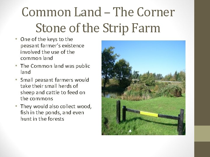 Common Land – The Corner Stone of the Strip Farm • One of the