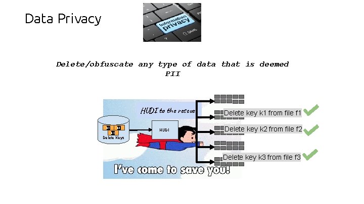 Data Privacy Delete/obfuscate any type of data that is deemed PII HUDI to the