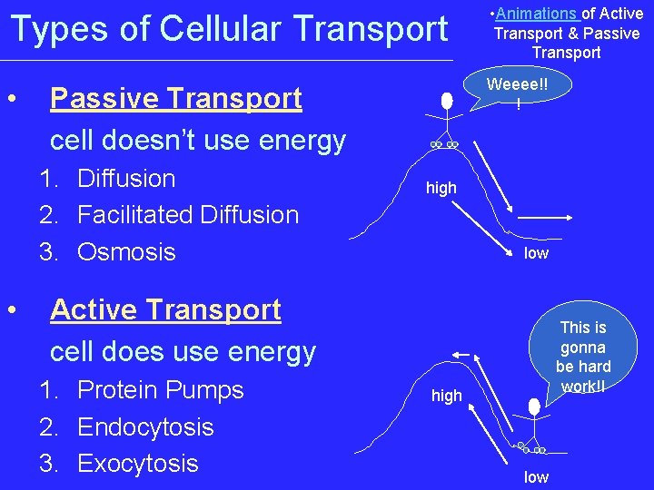 Types of Cellular Transport • Animations of Active Transport & Passive Transport • Weeee!!