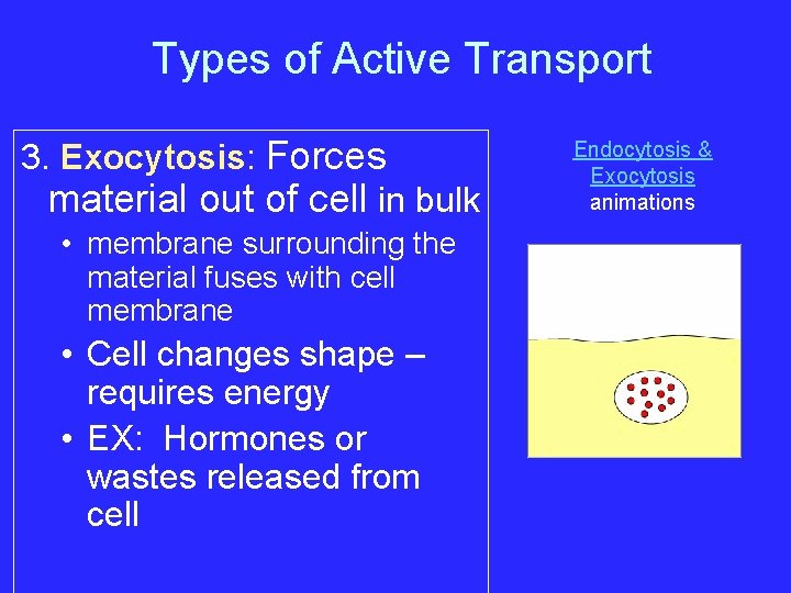 Types of Active Transport 3. Exocytosis: Forces material out of cell in bulk •