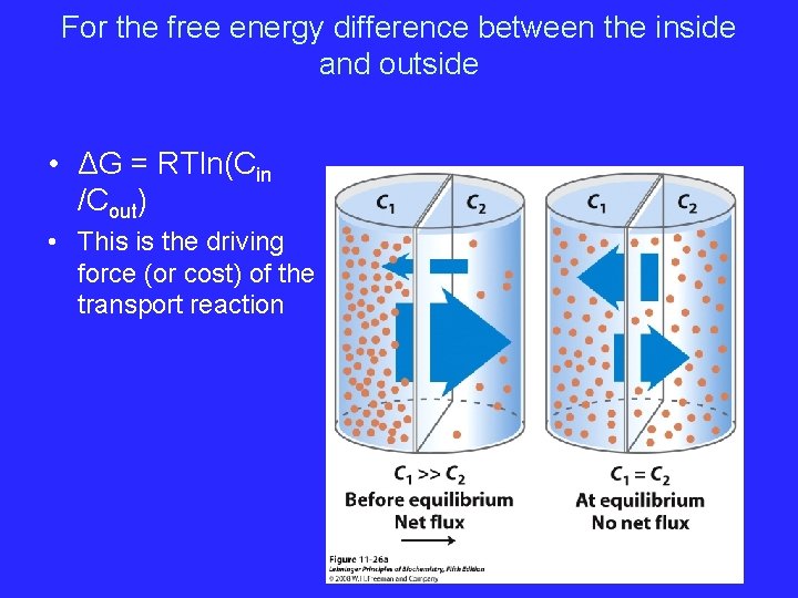 For the free energy difference between the inside and outside • ΔG = RTln(Cin