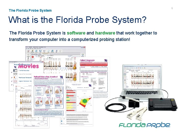 The Florida Probe System What is the Florida Probe System? The Florida Probe System