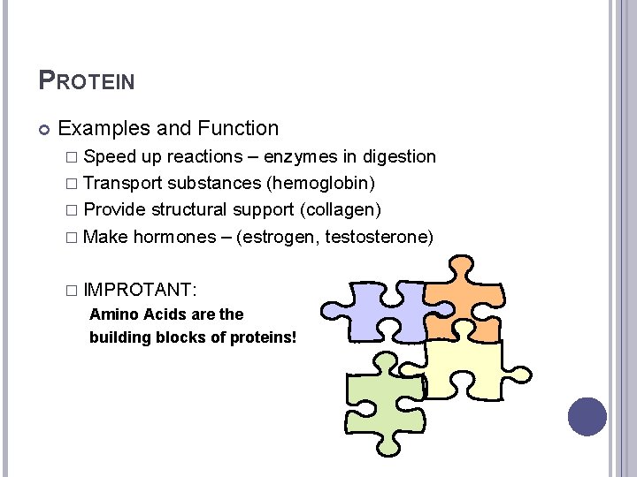 PROTEIN Examples and Function � Speed up reactions – enzymes in digestion � Transport