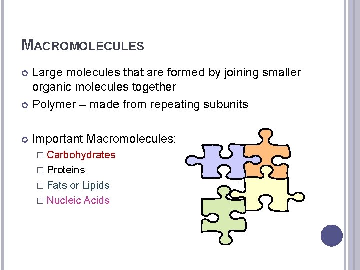 MACROMOLECULES Large molecules that are formed by joining smaller organic molecules together Polymer –