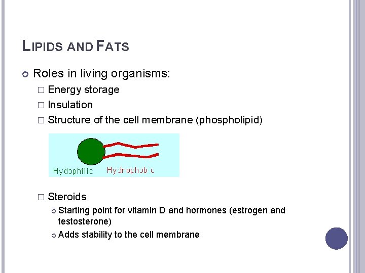 LIPIDS AND FATS Roles in living organisms: � Energy storage � Insulation � Structure