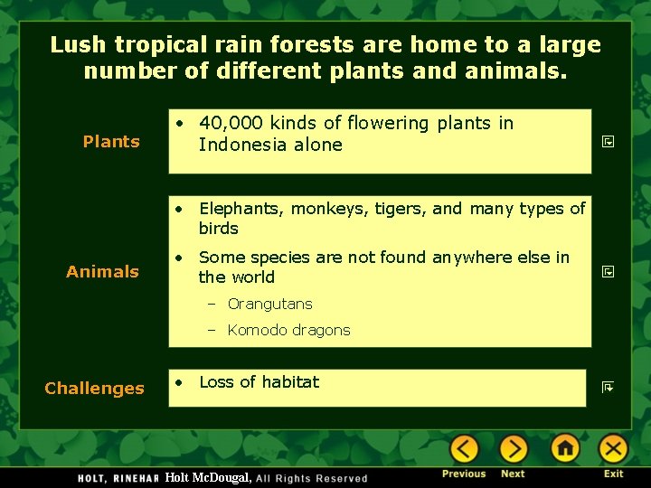 Lush tropical rain forests are home to a large number of different plants and