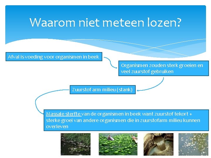 Waarom niet meteen lozen? Afval is voeding voor organismen in beek Organismen zouden sterk