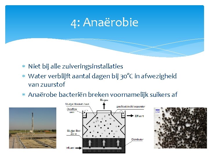 4: Anaërobie Niet bij alle zuiveringsinstallaties Water verblijft aantal dagen bij 30°C in afwezigheid