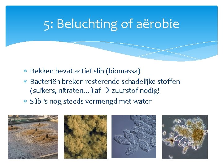 5: Beluchting of aërobie Bekken bevat actief slib (biomassa) Bacteriën breken resterende schadelijke stoffen