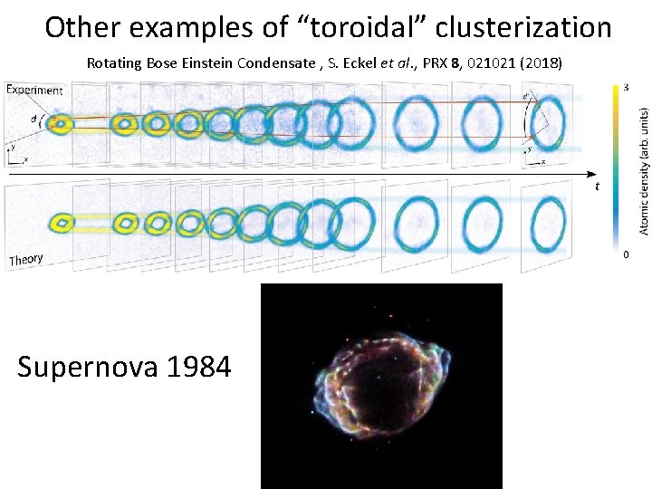 Other examples of “toroidal” clusterization Rotating Bose Einstein Condensate , S. Eckel et al.