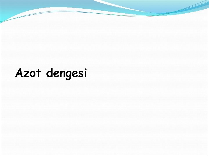 Azot dengesi 
