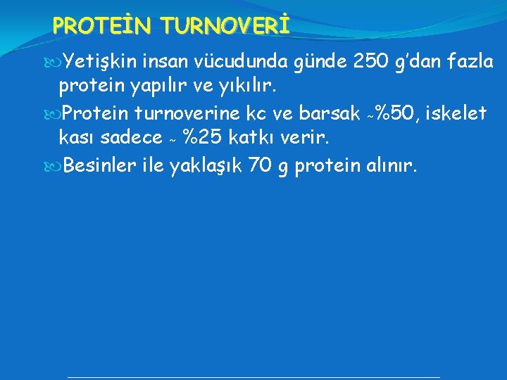 PROTEİN TURNOVERİ Yetişkin insan vücudunda günde 250 g’dan fazla protein yapılır ve yıkılır. Protein