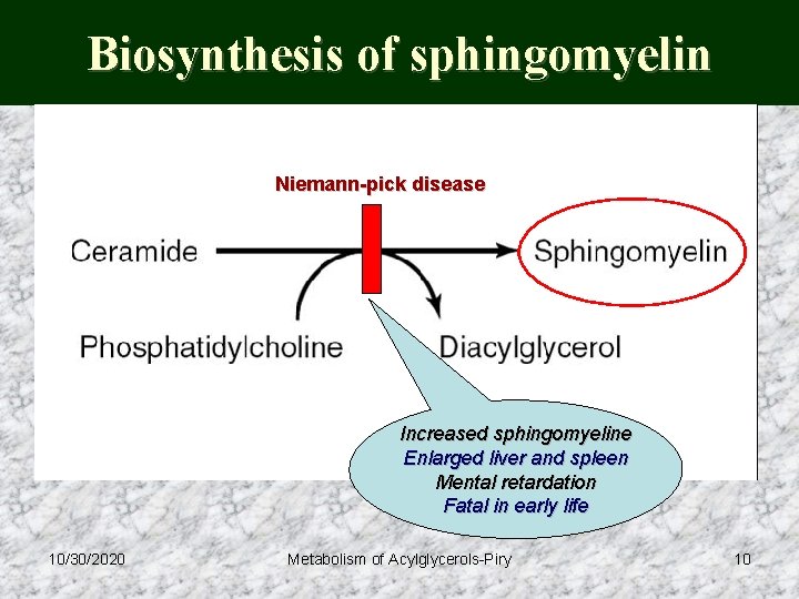 Biosynthesis of sphingomyelin Niemann-pick disease Increased sphingomyeline Enlarged liver and spleen Mental retardation Fatal