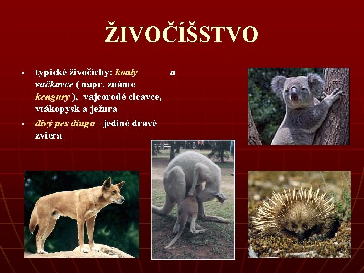 ŽIVOČÍŠSTVO § § typické živočíchy: koaly a vačkovce ( napr. známe kengury ), vajcorodé