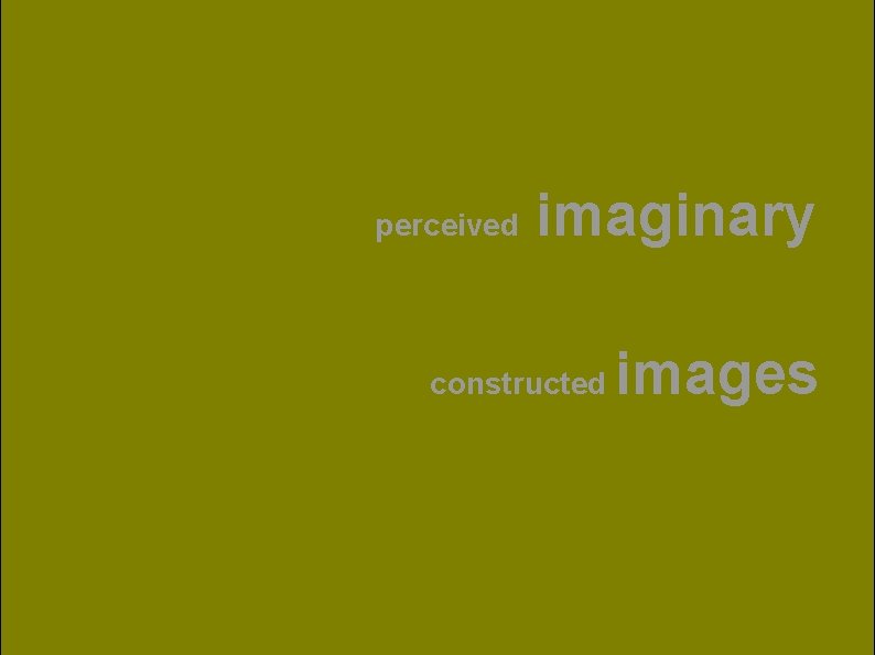 perceived imaginary constructed images 