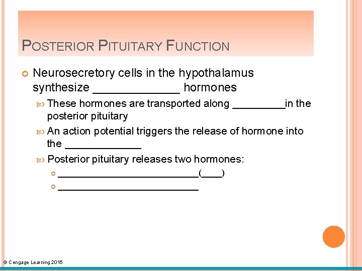 POSTERIOR PITUITARY FUNCTION Neurosecretory cells in the hypothalamus synthesize _______ hormones These hormones are