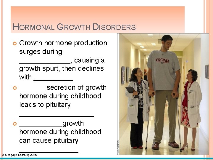 HORMONAL GROWTH DISORDERS Growth hormone production surges during _______, causing a growth spurt, then