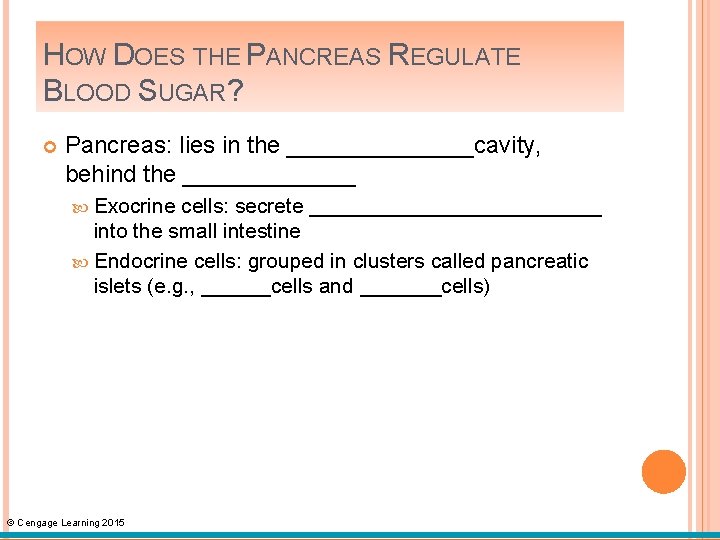 HOW DOES THE PANCREAS REGULATE BLOOD SUGAR? Pancreas: lies in the _______cavity, behind the