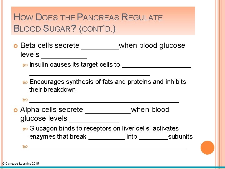 HOW DOES THE PANCREAS REGULATE BLOOD SUGAR? (CONT’D. ) Beta cells secrete _____when blood