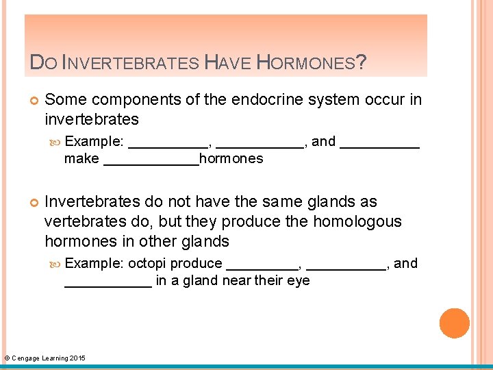 DO INVERTEBRATES HAVE HORMONES? Some components of the endocrine system occur in invertebrates Example: