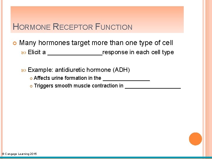 HORMONE RECEPTOR FUNCTION Many hormones target more than one type of cell Elicit a