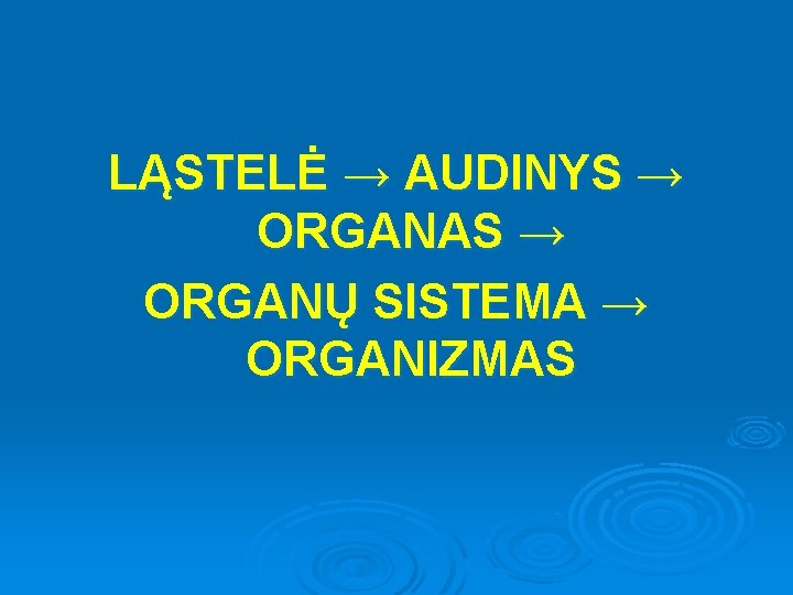 LĄSTELĖ → AUDINYS → ORGANAS → ORGANŲ SISTEMA → ORGANIZMAS 