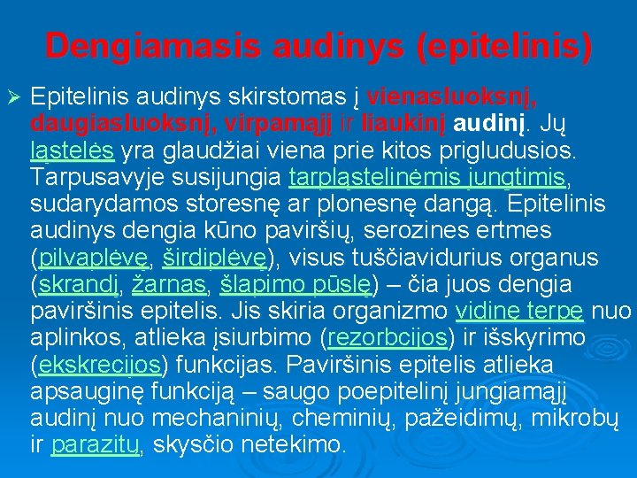 Dengiamasis audinys (epitelinis) Ø Epitelinis audinys skirstomas į vienasluoksnį, daugiasluoksnį, virpamąjį ir liaukinį audinį.