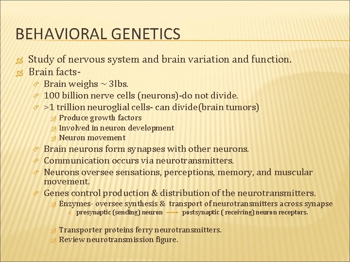 BEHAVIORAL GENETICS Study of nervous system and brain variation and function. Brain facts Brain