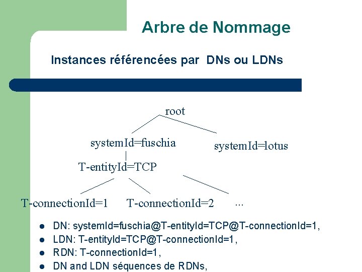 Arbre de Nommage Instances référencées par DNs ou LDNs root system. Id=fuschia system. Id=lotus