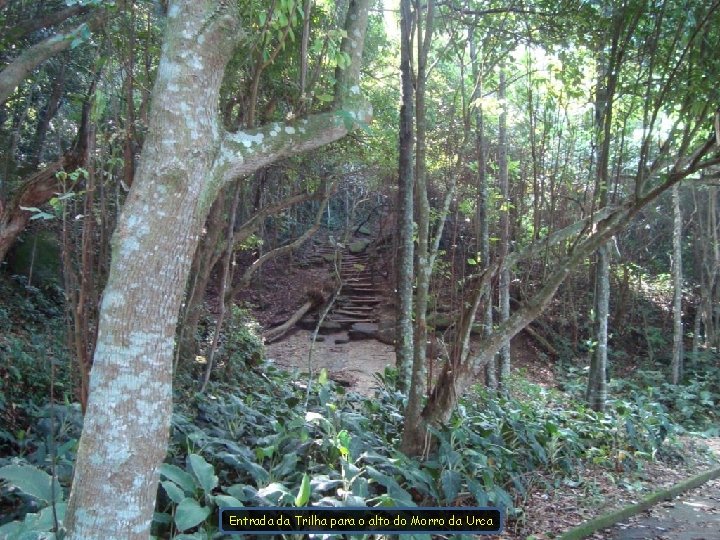 Entrada da Trilha para o alto do Morro da Urca 