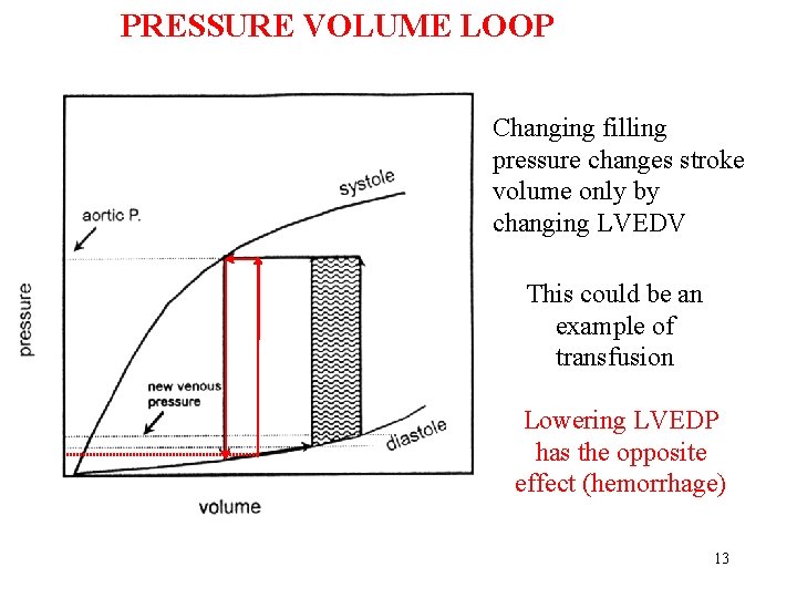 PRESSURE VOLUME LOOP Changing filling pressure changes stroke volume only by changing LVEDV This