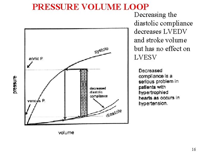 PRESSURE VOLUME LOOP Decreasing the diastolic compliance decreases LVEDV and stroke volume but has