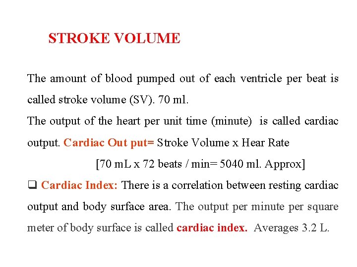 STROKE VOLUME The amount of blood pumped out of each ventricle per beat is