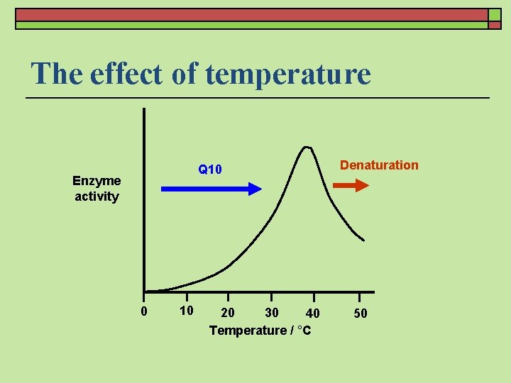 The effect of temperature Q 10 Enzyme activity 0 10 20 30 40 Temperature