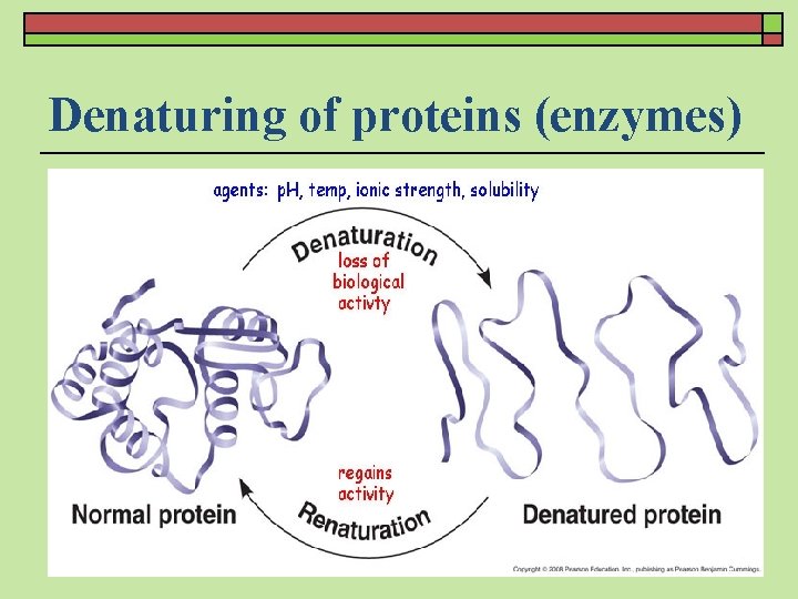 Denaturing of proteins (enzymes) 