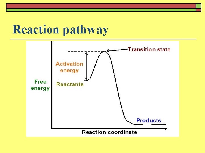 Reaction pathway 