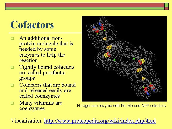 Cofactors o o An additional nonprotein molecule that is needed by some enzymes to