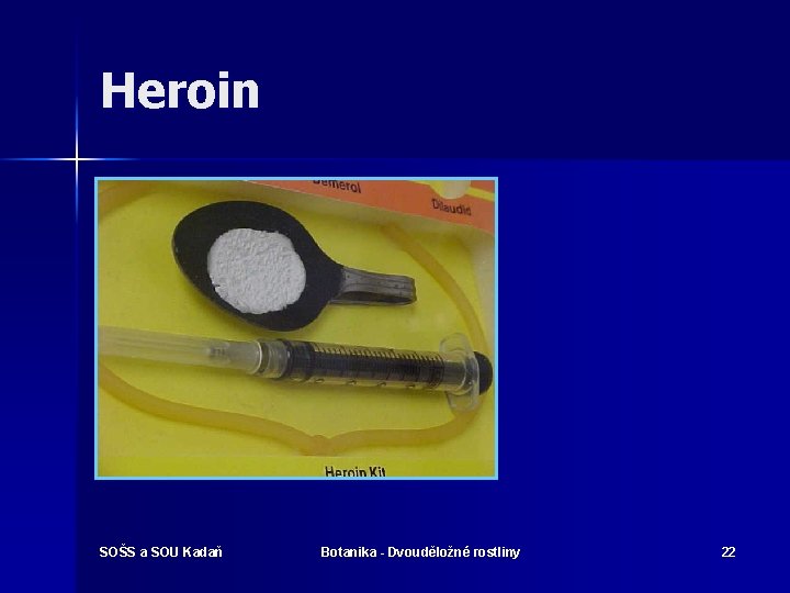 Heroin SOŠS a SOU Kadaň Botanika - Dvouděložné rostliny 22 