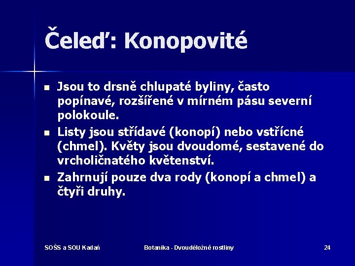 Čeleď: Konopovité n n n Jsou to drsně chlupaté byliny, často popínavé, rozšířené v