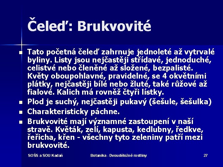 Čeleď: Brukvovité n n Tato početná čeleď zahrnuje jednoleté až vytrvalé byliny. Listy jsou