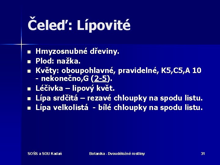 Čeleď: Lípovité n n n Hmyzosnubné dřeviny. Plod: nažka. Květy: oboupohlavné, pravidelné, K 5,