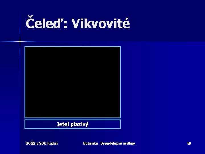 Čeleď: Vikvovité Jetel plazivý SOŠS a SOU Kadaň Botanika - Dvouděložné rostliny 50 