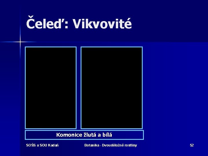 Čeleď: Vikvovité Komonice žlutá a bílá SOŠS a SOU Kadaň Botanika - Dvouděložné rostliny