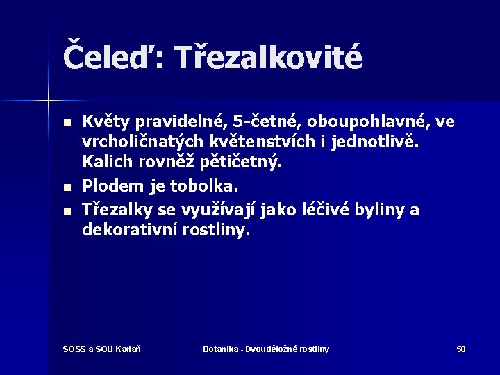 Čeleď: Třezalkovité n n n Květy pravidelné, 5 -četné, oboupohlavné, ve vrcholičnatých květenstvích i