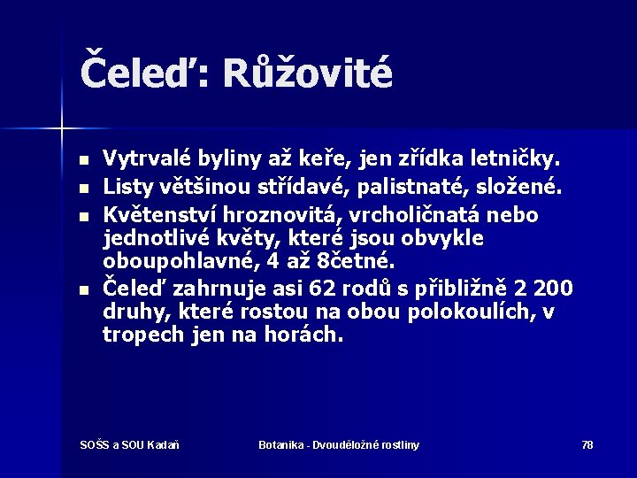 Čeleď: Růžovité n n Vytrvalé byliny až keře, jen zřídka letničky. Listy většinou střídavé,