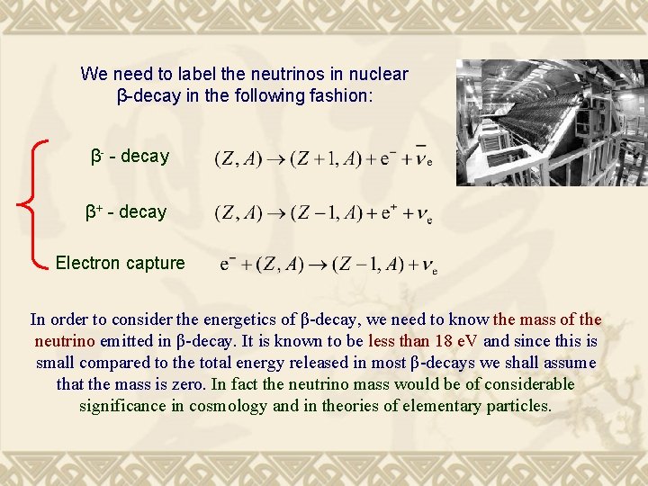 We need to label the neutrinos in nuclear β-decay in the following fashion: β-