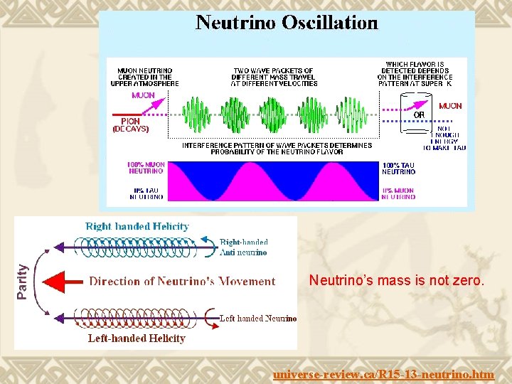 Neutrino’s mass is not zero. universe-review. ca/R 15 -13 -neutrino. htm 