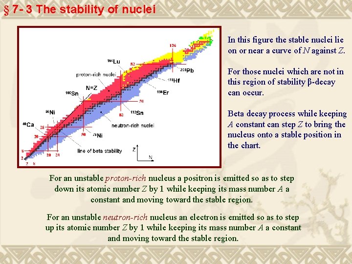 § 7 - 3 The stability of nuclei In this figure the stable nuclei